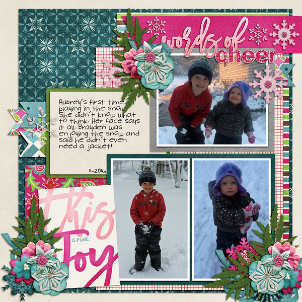 Winter Joy