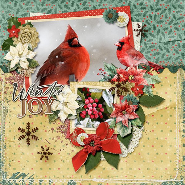 Winter Joy
