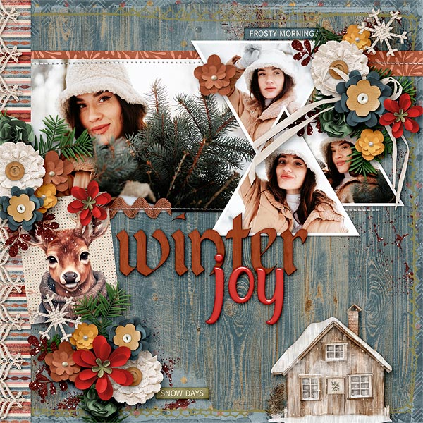 Winter Joy