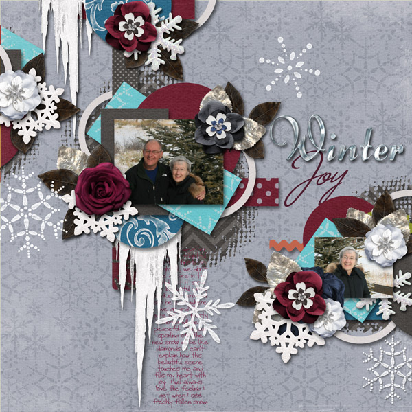 Winter Joy