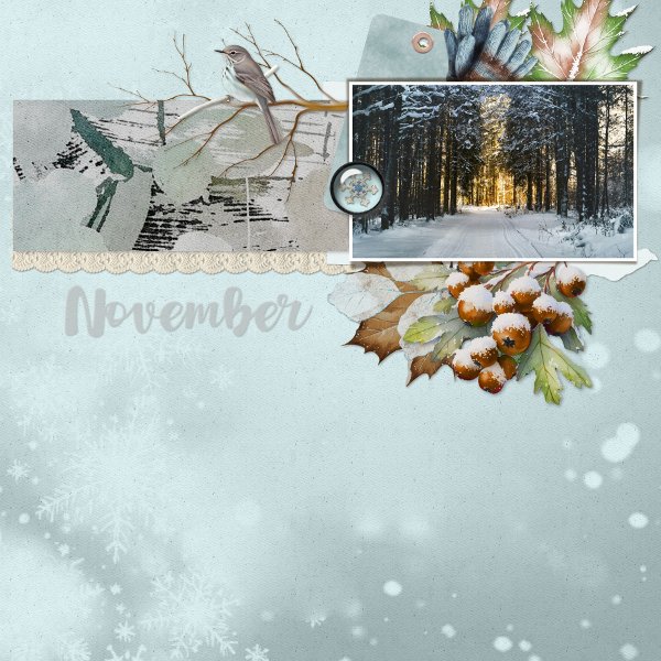 winter.jpg