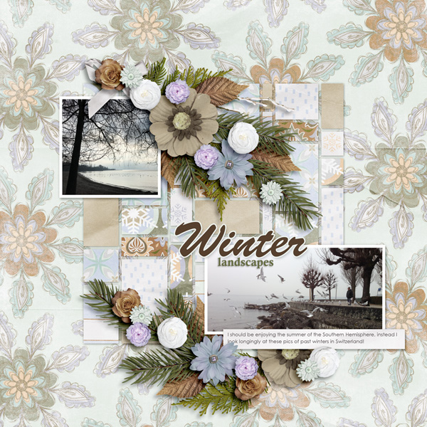 Winter Landscapes