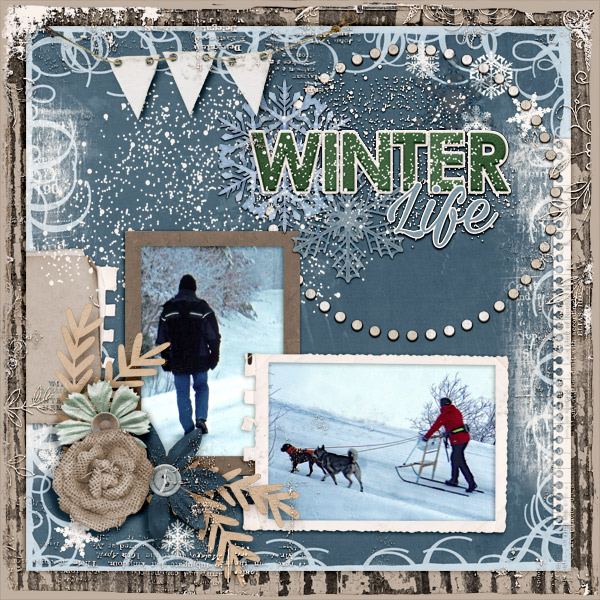 Winter-life-600
