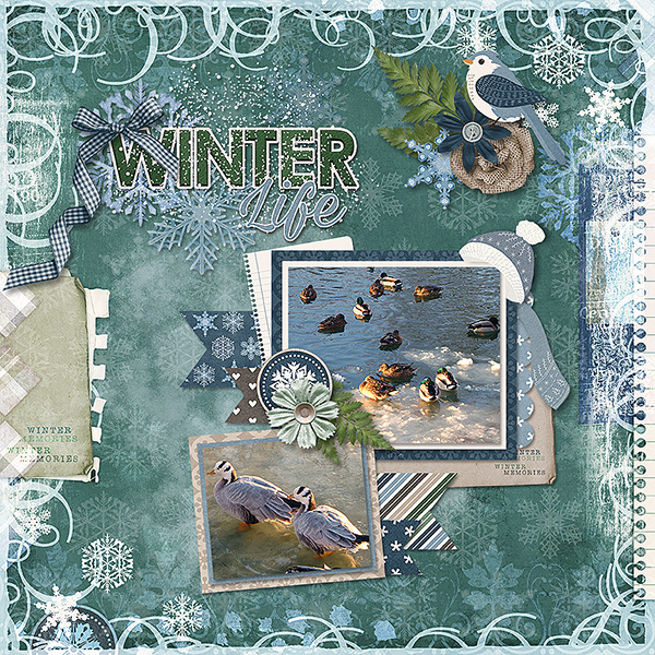 Winter Life
