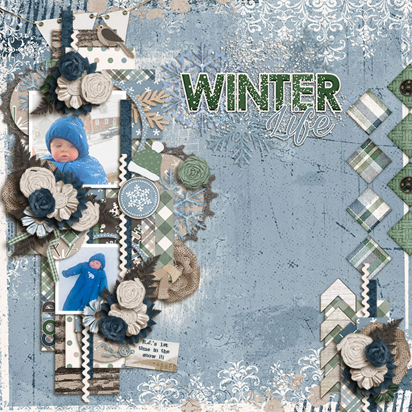 Winter Life