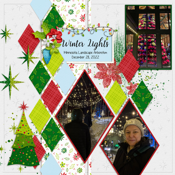 Winter Lights, 12282022