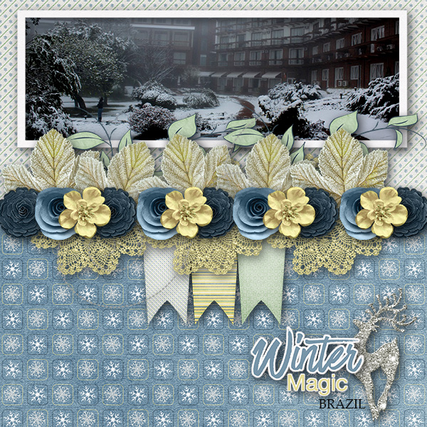 Winter Magic Brazil
