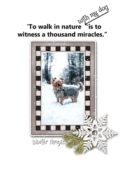 Winter Magic