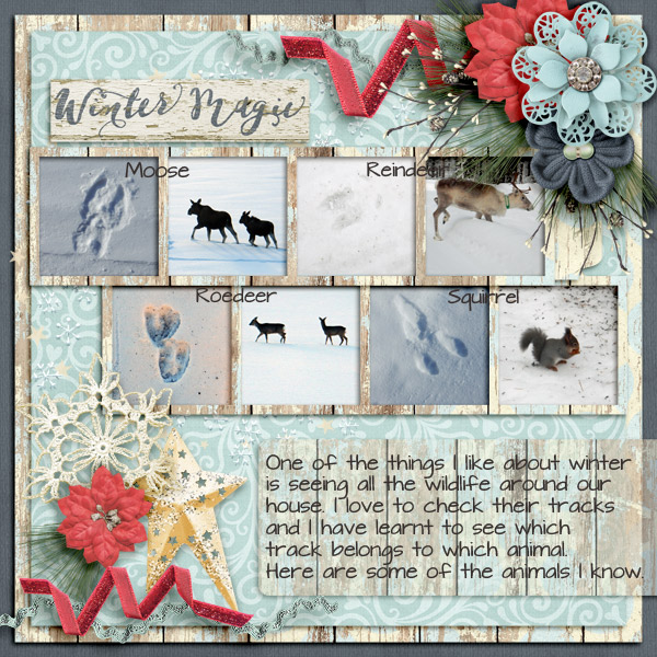 Winter-magic2