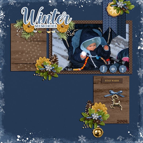 winter memories 2004