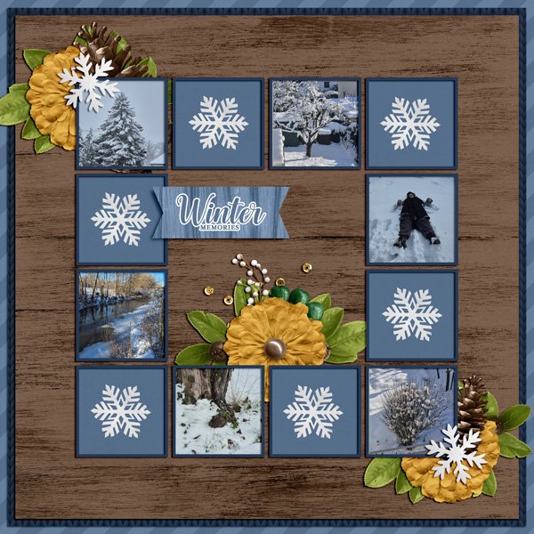 winter memories 2026