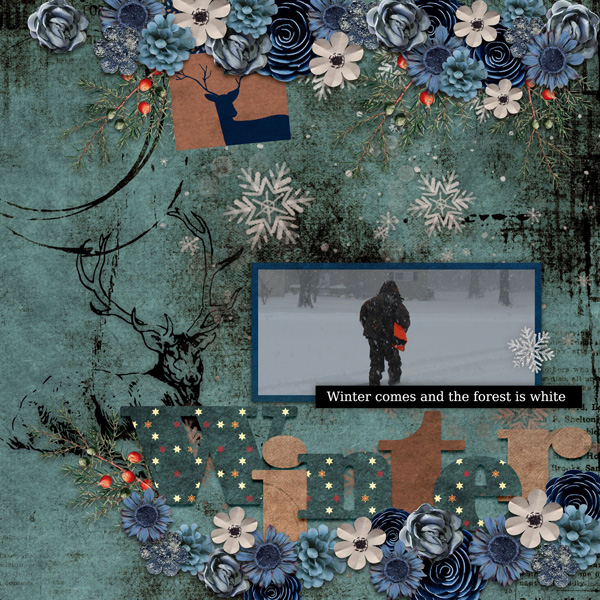 Winter Memories-CarolW