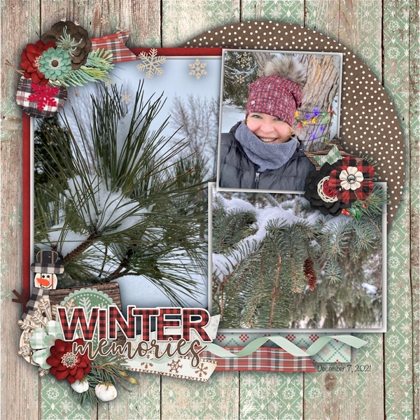 Winter Memories December 2021