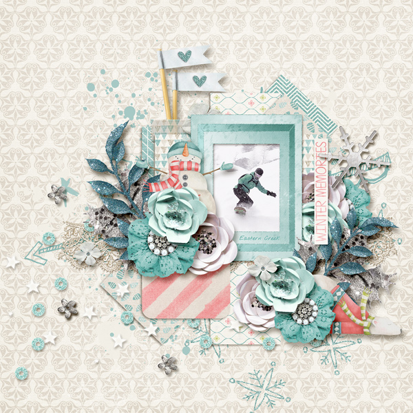 Winter Memories