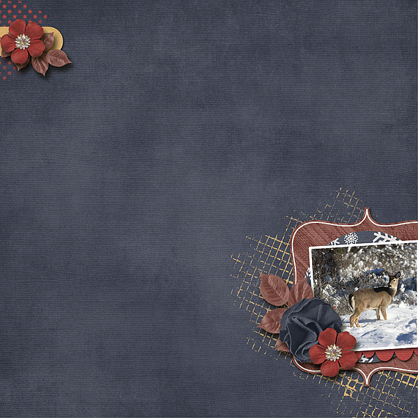 Winter Memories