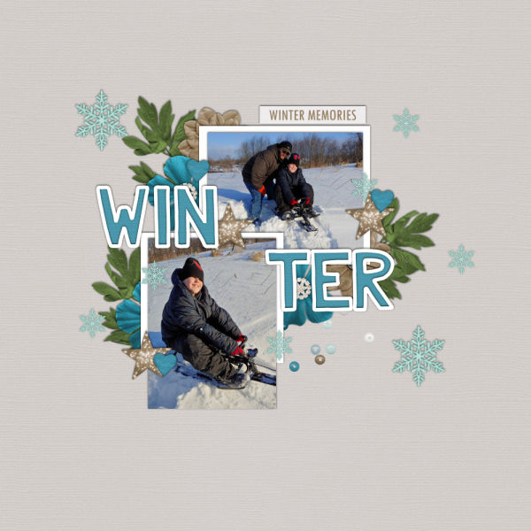Winter Memories