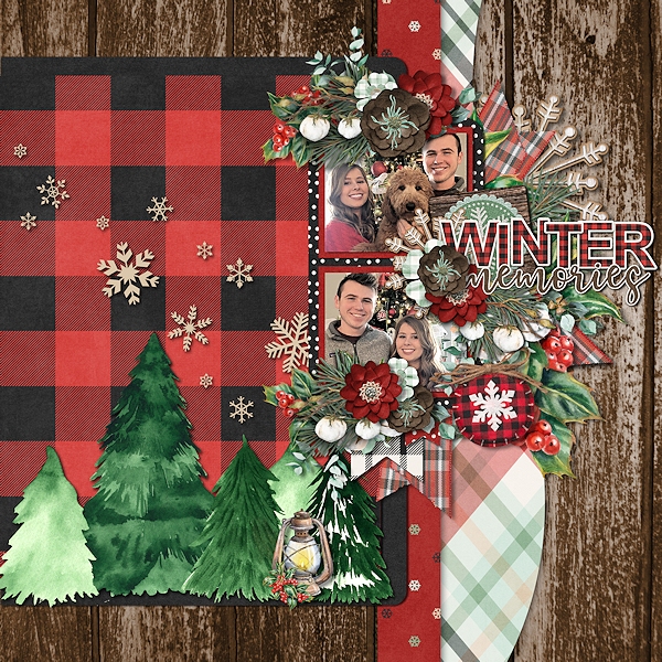 Winter Memories