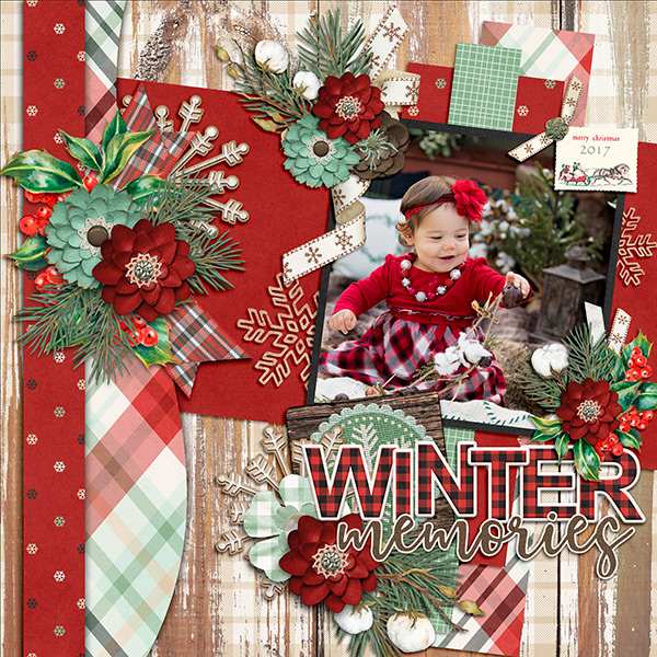 Winter Memories