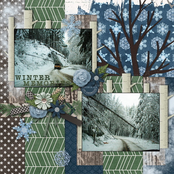 Winter Memories