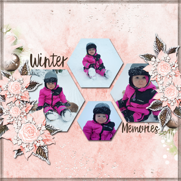 Winter Memories