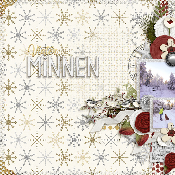 Winter Memories