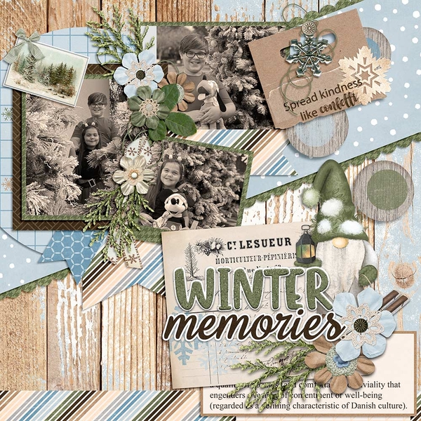 Winter Memories