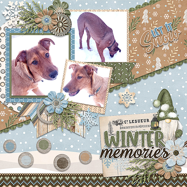 Winter Memories