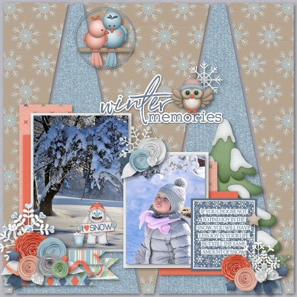Winter Memories