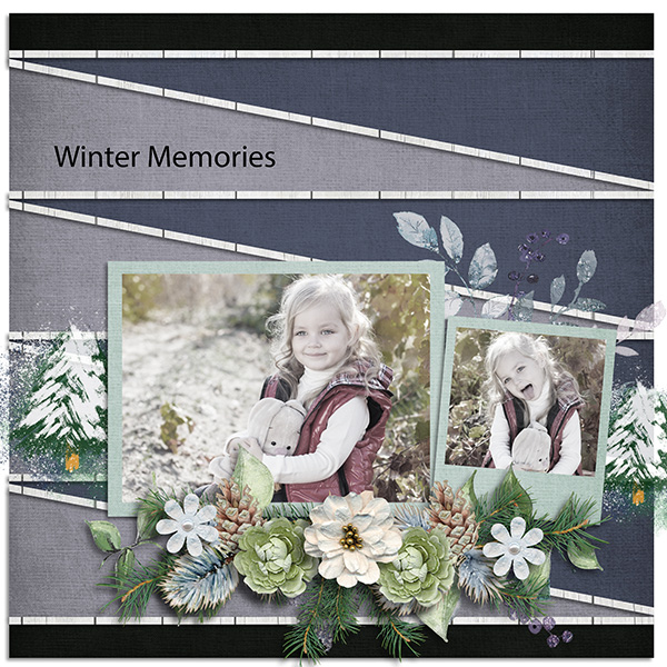 Winter Memories