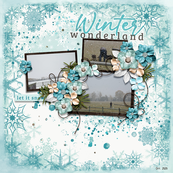 Winter Memories