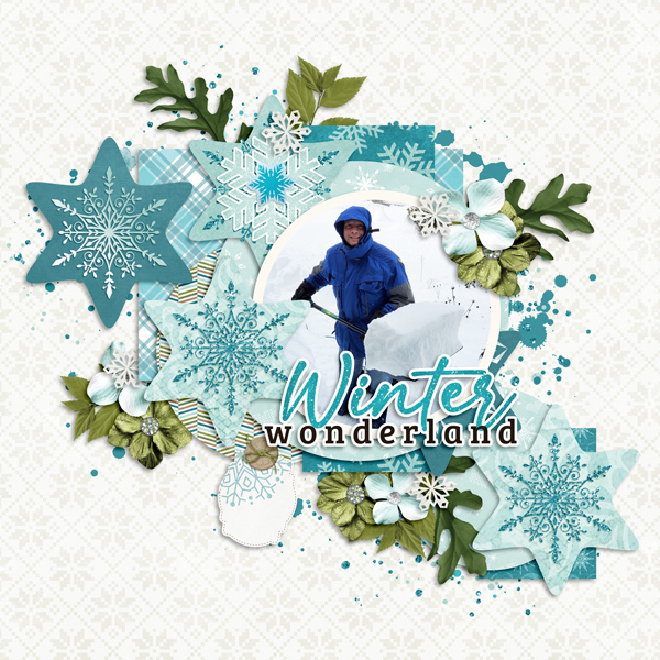 Winter Memories