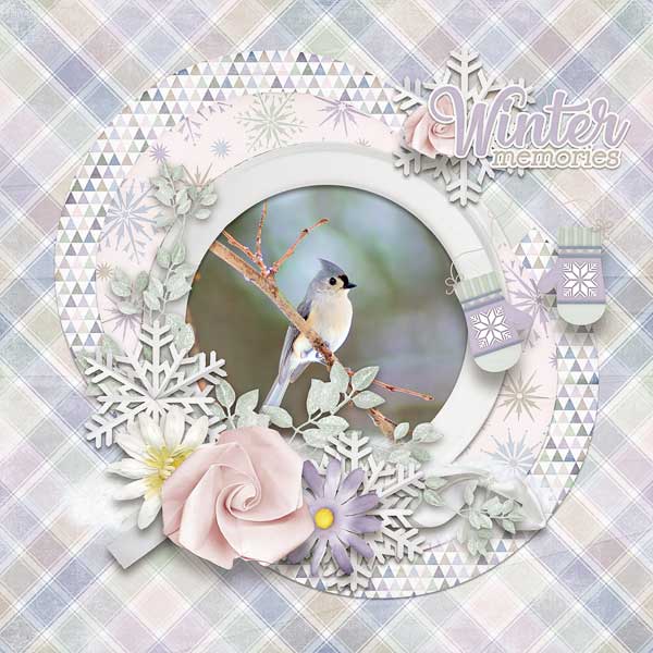 Winter Memories
