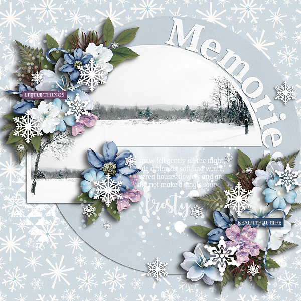 Winter Memories