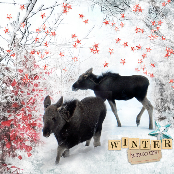 Winter-memories13