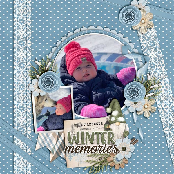 Winter-Memories_