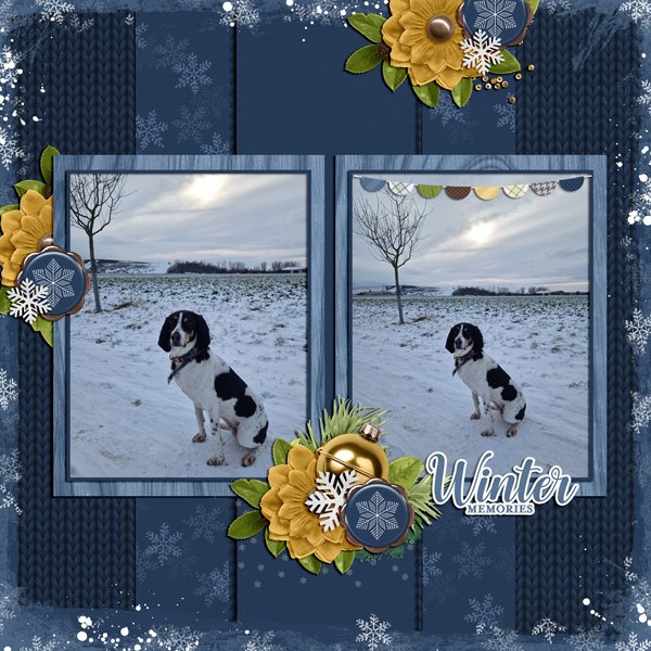 winter memory 2023