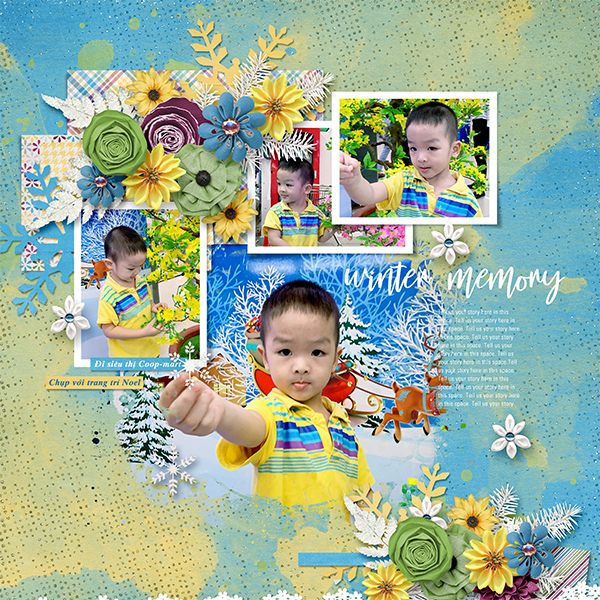 Winter memory