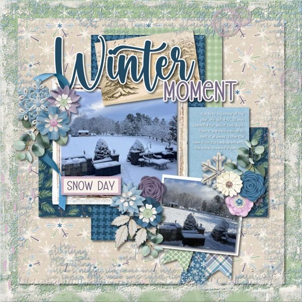 Winter moment.jpg