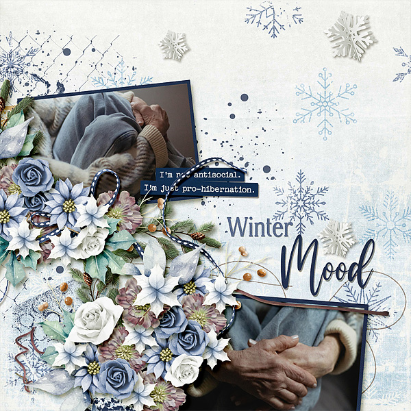 Winter Mood