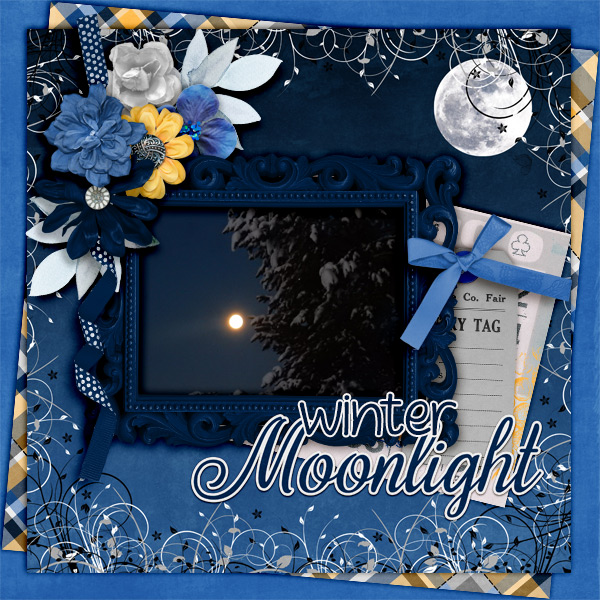 Winter-moonlight