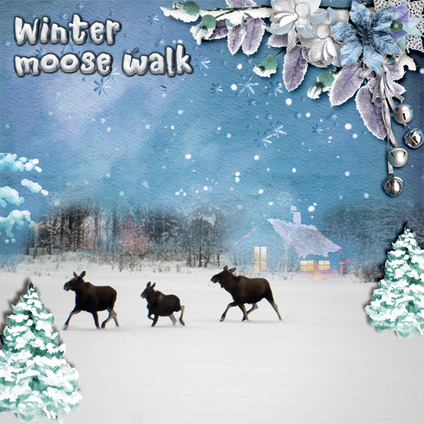 Winter-moose-walk