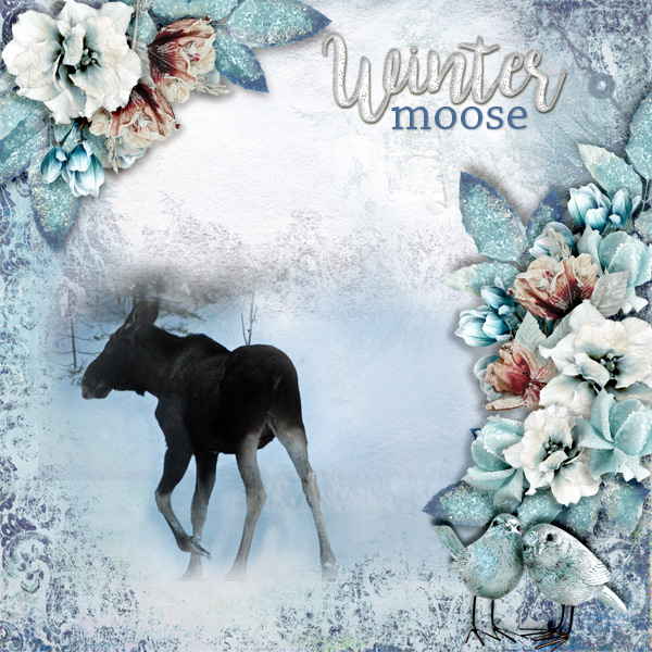 Winter-moose