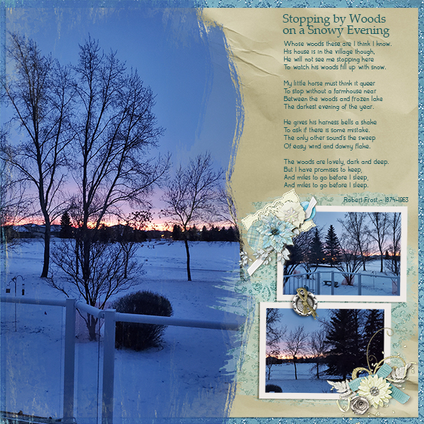 Winter Morning