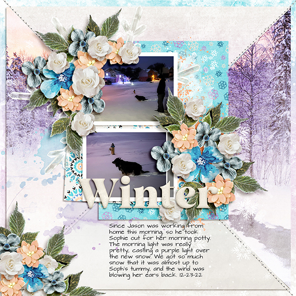 Winter Morning
