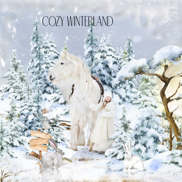 Winter Mystery