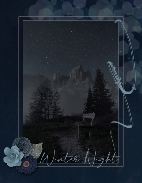 Winter Night