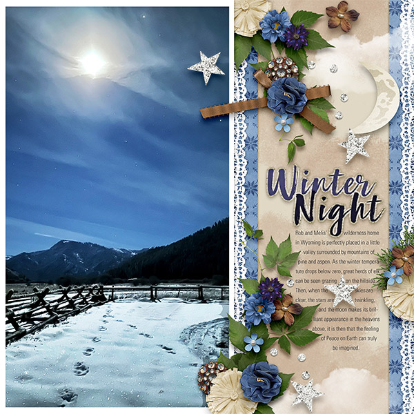 WINTER NIGHT