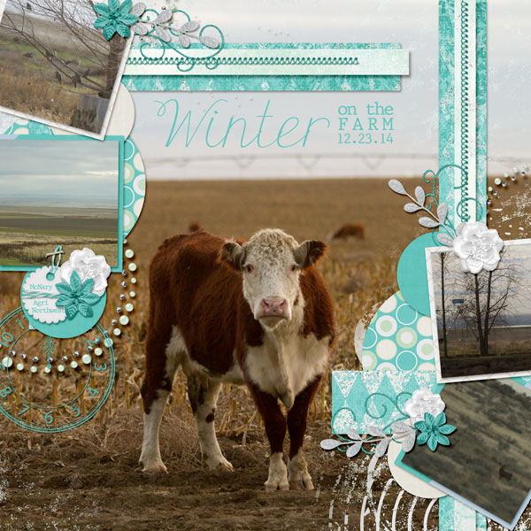 Winter on the Farm