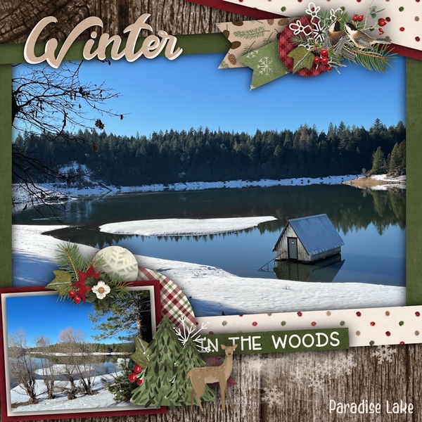 Winter Paradise Lake