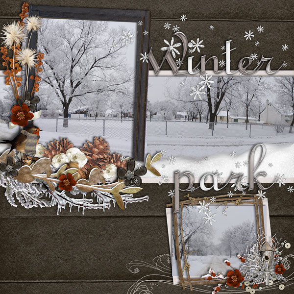 Winter park